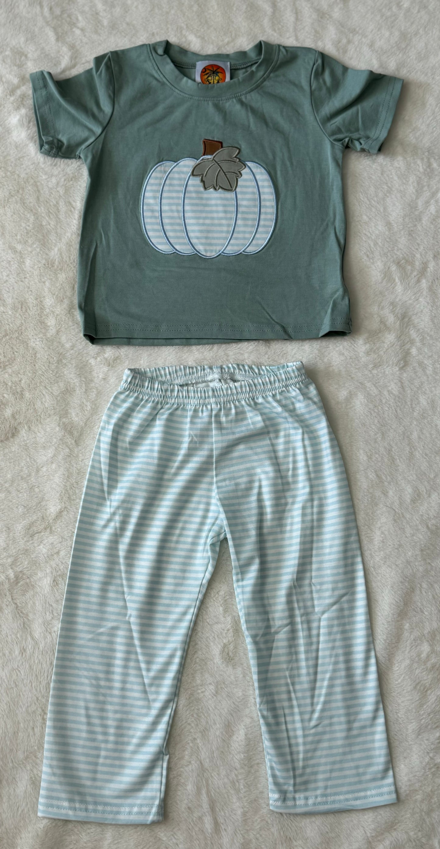 Sage Floral Pumpkin Applique Collection - Boys Shirt and Pants Set